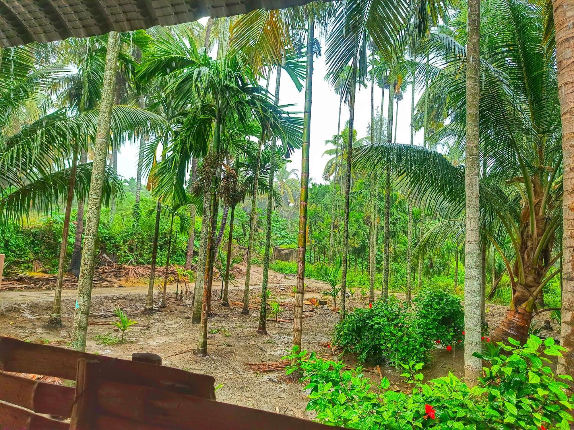 Shivalaya Farmstay Located Amdist Coconut Farm With River Access Near Isha,Adiyogi,Siruvani Alandurai ภายนอก รูปภาพ