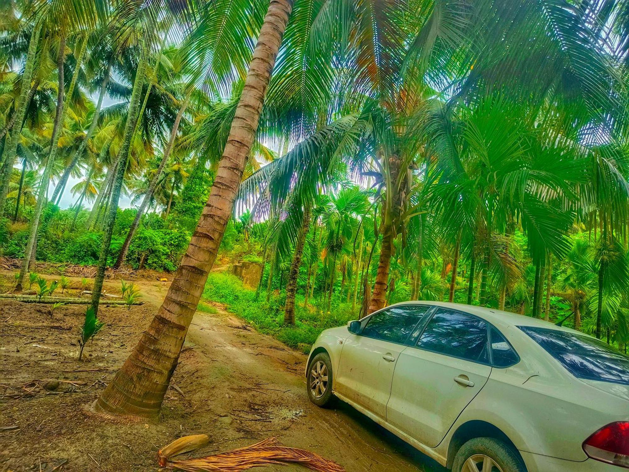Shivalaya Farmstay Located Amdist Coconut Farm With River Access Near Isha,Adiyogi,Siruvani Alandurai ภายนอก รูปภาพ